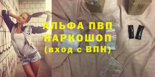 гидра Богородск