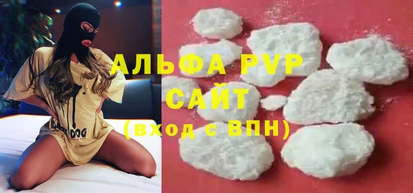 PSILOCYBIN Богданович