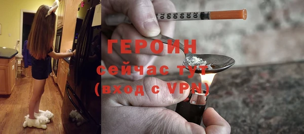 гидра Богородск