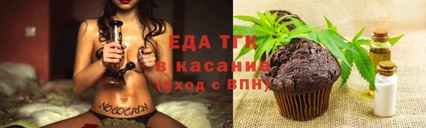 гидра Богородск
