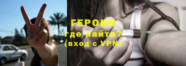 гидра Богородск