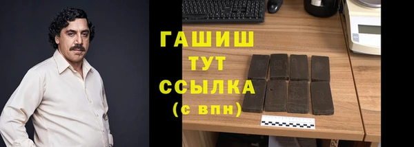 гидра Богородск