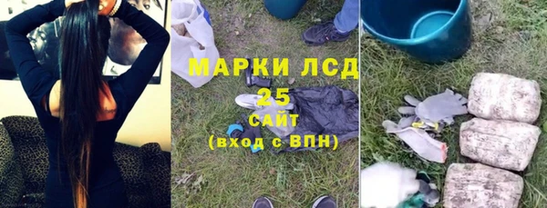 гидра Богородск