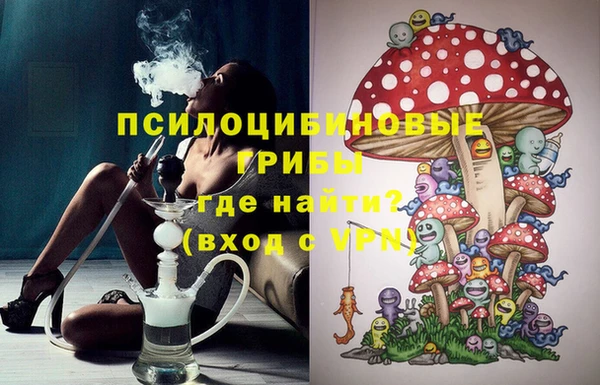 PSILOCYBIN Богданович