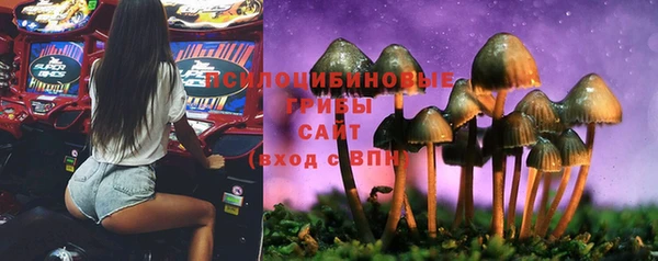 PSILOCYBIN Богданович