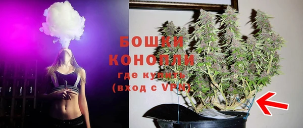 PSILOCYBIN Богданович