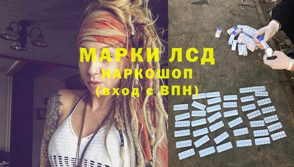 PSILOCYBIN Богданович