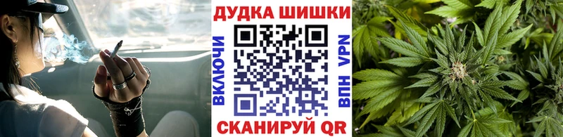 где купить наркотик  Выборг  Каннабис Amnesia 